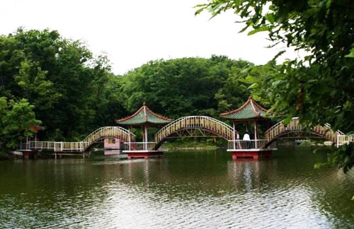 东丰县江城森林植物园