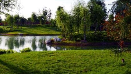 平阴玫瑰湖湿地公园