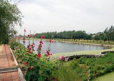 蚕庄金水湖生态旅游区