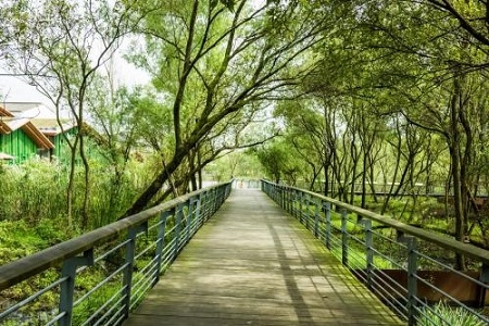 大河岛生态公园