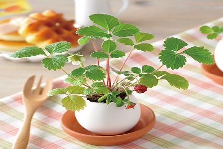 创意礼品陶瓷盆栽摆件园林植物