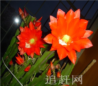 赵一曼纪念园位于尚志市长寿乡一曼村，是**100个红色旅游经典景区之一。