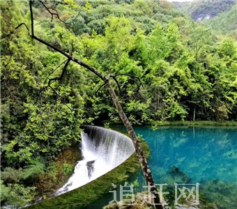 黑龙江宾县二龙湖湿地公园位于黑龙江省南部，松花江南岸的宾县县城西南6km处。