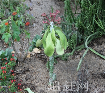 虎口湿地自然保护区是1997年2月经黑龙江省政府批准建立的省级湿地自然保护区。该区位于虎林市境内穆棱河以南，沿乌苏里江的狭长地带，总面积150平方公里。