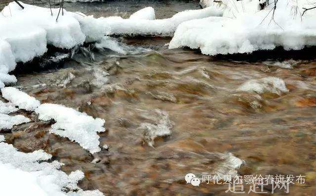 依吉密河漂流，是铁力林业局(春赏山花、夏漂流，秋观红叶、冬滑雪)的旅游精品。依吉密是满语，意为细鳞鱼密集的地方。