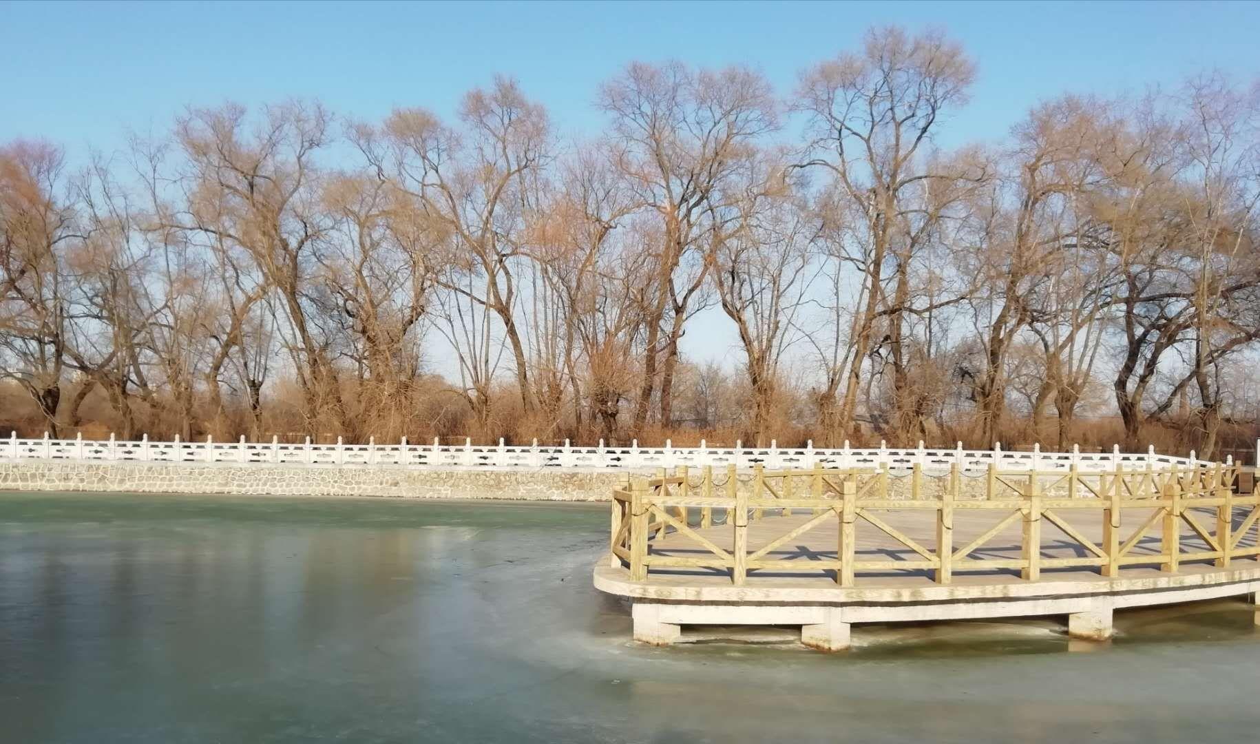 淄博高青千乘湖生态文化园