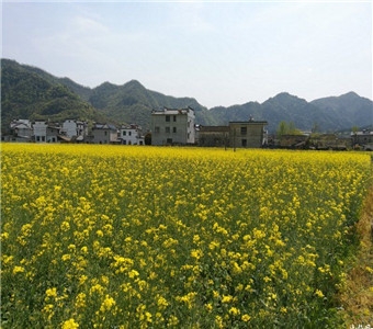 武城县农业产品展览馆始建于2008年6月，同年10月正式对外开放，是山东省第一个综合性农业展览馆。