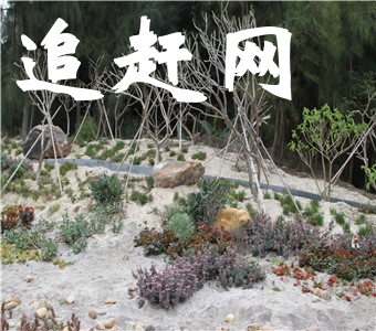 许昌鄢陵国家花木博览园