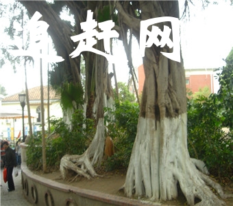 关山古镇旅游区位于首批**旅游强县——湖南省宁乡县的金洲镇，距省会长沙仅28公里。