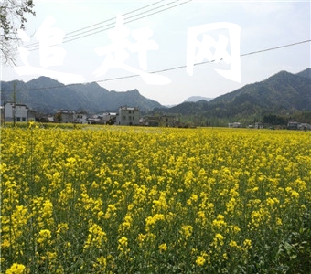 中国清溪-山乡巨变第一村紧邻湖南省益阳市中心城区，占地面积2平方公里。