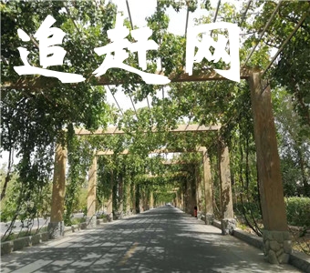 向警予同志纪念馆，位于湘西源水中游的溆浦县城，共占地面积8800平方米。纪念馆距溆浦火车站八百米，距溆浦汽车站1500米。