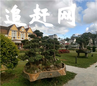 杨岐山风景名胜区位于萍乡市上栗县境内，距城区25公里，是一个以优美的自然景观为外延，以丰厚的人文景观为内涵，构成融自然风光和宗教文化为一体的重点风景区。