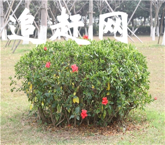 抚州三翁花园