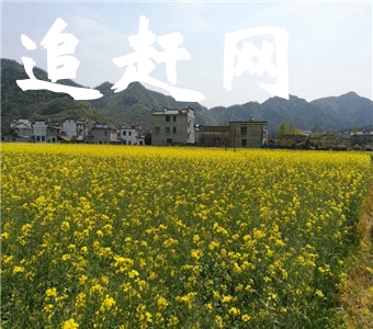 临沧茶文化风情园位于临翔区城郊，占地110公顷，是云南省25个旅游精品工程之一。
