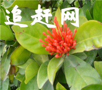 赤水竹海**森林公园，位于贵州省赤水市城东四十余公里，赤桐公路旁侧。该公园以浩瀚的“竹海”风光为主。