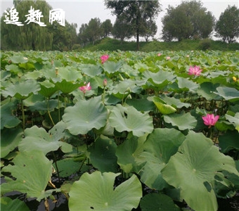 晋城蟒河自然保护区