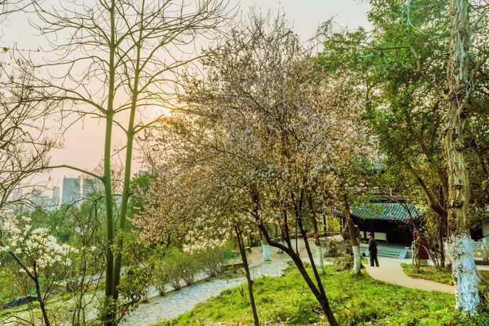 赭山风景区位于芜湖市中心地标鸠兹广场的北边，当中隔了个安徽师范大学。风景区的主要部分是赭山公园，山下零星散布着广济寺、陆和村茶艺博物馆等景点。