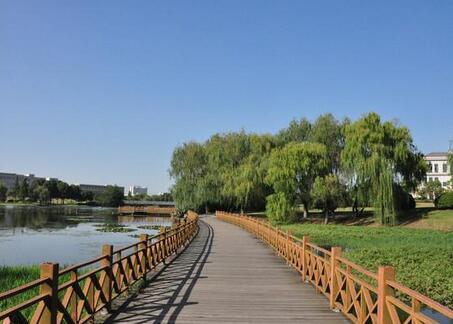 铜陵翠湖公园位于安徽省铜陵市新城区，公园内放置有大量铜雕艺术品。