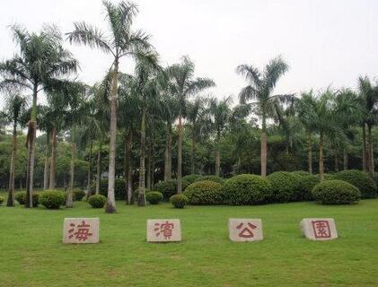 海滨公园位于海滨南路与香炉湾之间，它的北侧是石景山，南侧为香炉湾。珠海的标志“珠海渔女”雕塑就竖立在海滨公园的岩石上。