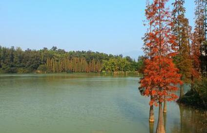 星湖湿地公园位于肇庆市端州区星湖大道，核心游览区位于仙女湖。游览湿地公园，需要乘坐电动船游览，全程大概需要1个小时左右。