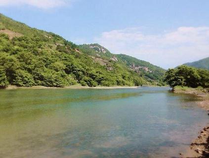 杨家溪位于霞浦县牙城镇境内。拥有纬度**北的古榕树群和江南**的纯枫叶林。