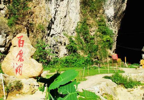 百魔洞又名百魔天坑，距离巴马长寿村约十分钟的车程。这是一处雄伟壮观的天然溶洞景观。