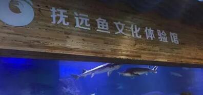 抚远鱼文化体验馆