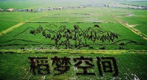 沈北新区以其独特的地理优势孕育了优质稻田。稻梦空间是以稻田彩绘为特色的田园综合体，讲述“一粒米的故事”