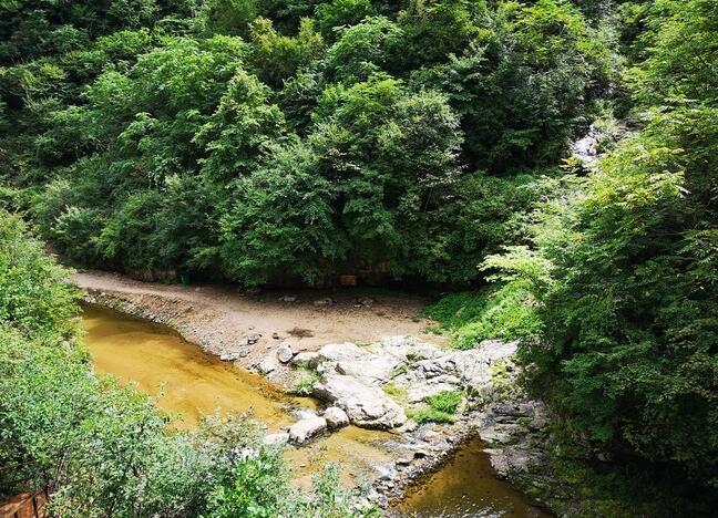 玉龙溪原始森林公园景区面积三千余亩，一条溪流贯穿整个景区，溪水流向行如巨龙，水质清澈色如碧玉，因此得名玉龙溪。