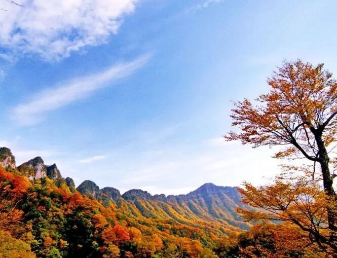 岗山**森林公园，为**自然保护区，位于辽宁省抚顺市新宾县旺清门镇响水河子乡龙岗山南麓，，有原始森林561公顷，是集自然保护区与自然景观为一体的山岳型名胜风景旅游区。
