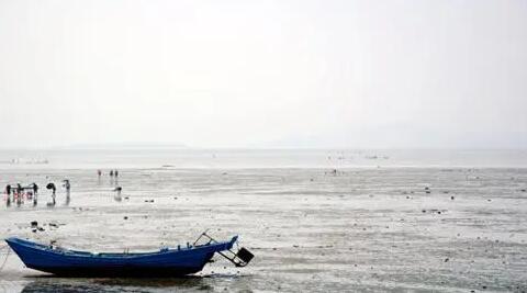 渔家赶海园位于辽宁省，兴城市南海岸，海滩面积共计150公顷，这里有螃蟹、皮皮虾、蛎蝗、蚶子、海星、海虹、白泡、海螺等丰富的海产品