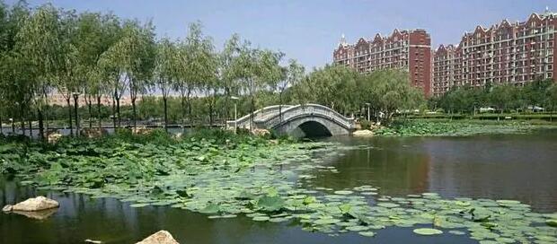 长春观澜湖公园,位于长春市高新区，第一座水景生态公园，也是长春南城颇具特色的天然水景湿地公园。