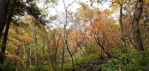吉林黄泥河国家级自然保护区