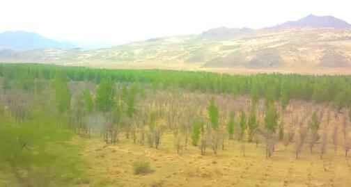 通榆科尔沁沙地生态示范区