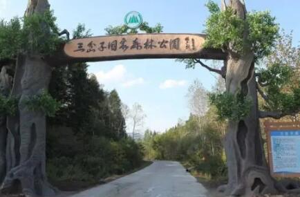 吉林三岔子**森林公园位于吉林省白山市江源区和靖宇县三岔子林业局施业区内，公园由七星泉景区、龙湾湖景区、皇封泉峡谷景区组成，总面积7126公顷，森林覆盖率92.7%。
