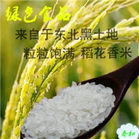 哈尔滨特产尚志大米有机大米稻花香大米