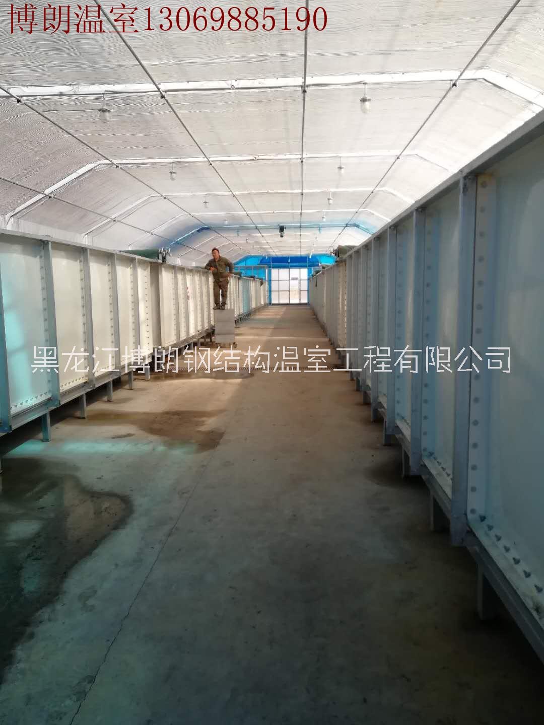 黑龙江博朗钢结构温室工程有限公司