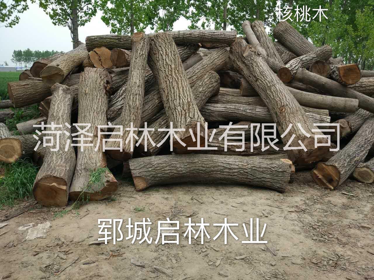 郓城启林木业厂