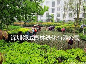 深圳领域园林绿化有限公司
