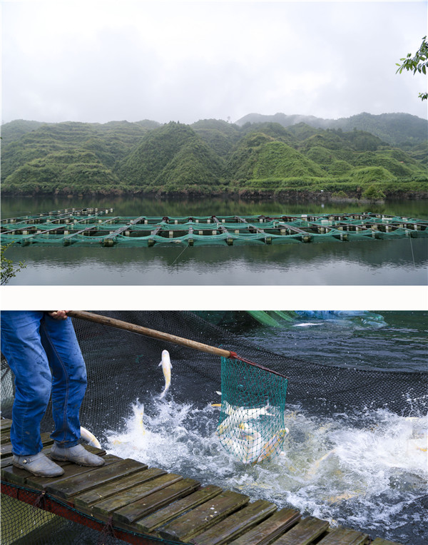 开化县助农渔业专业合作社