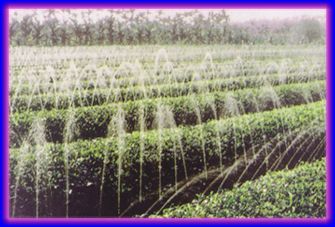山东省泰安市双城节水灌溉公司