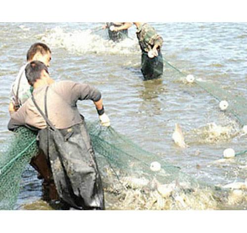 湖南南洞庭湖渔业发展有限公司