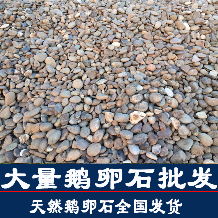机制白石铺路石广东鹅卵石厂家批发鹅卵石厂家3~5CM鹅卵石价格