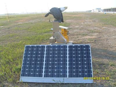 供应太阳能供电驱鸟配套仿真猛禽设备