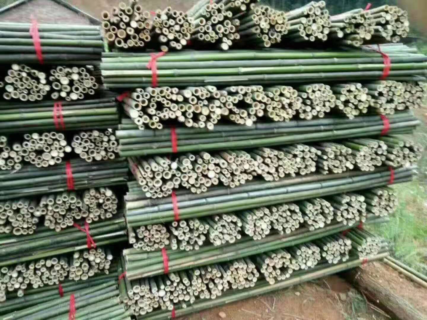 湖南衡阳市竹木供销有限公司 供应竹杆、竹片、竹架板