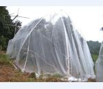 供应塑料网/农业防虫网/塑料防虫网的应用范围