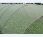 供应塑料平网/塑料防虫网/蔬菜 瓜果使用塑料防虫网的好处