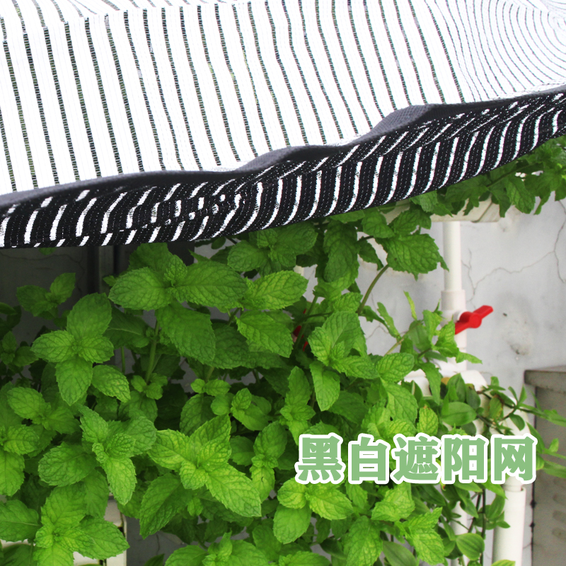 阳台庭院防晒网隔热 加密绿植降温遮光  双面黑白遮阳网