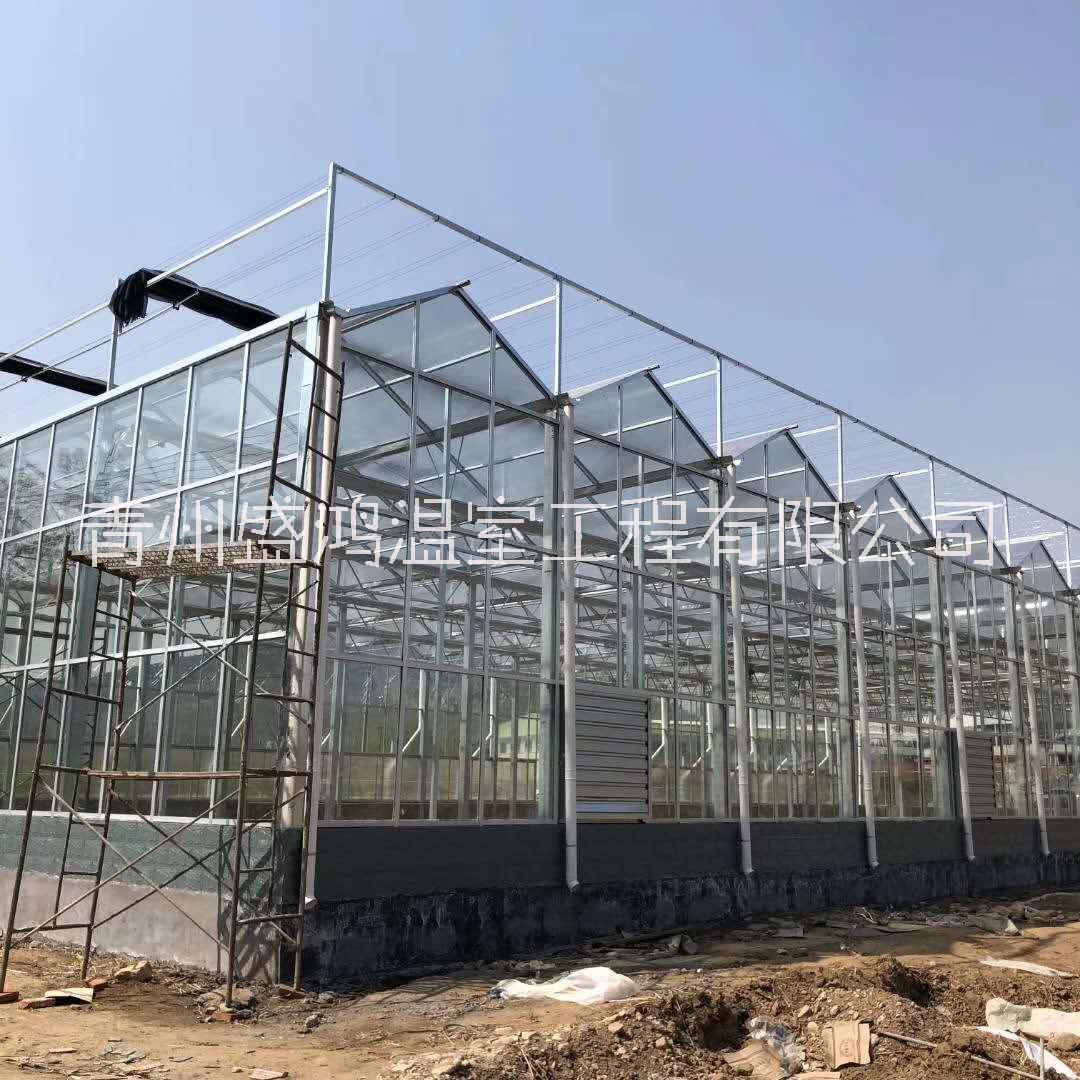 智能温室建设遮阳网覆盖蔬菜栽培的方式 玻璃智能温室