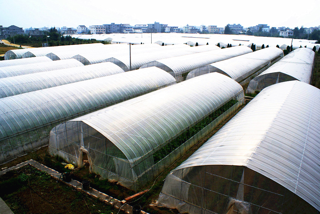 大棚钢管骨架温室定制养殖大棚全套蔬菜大棚农业大棚配件全套